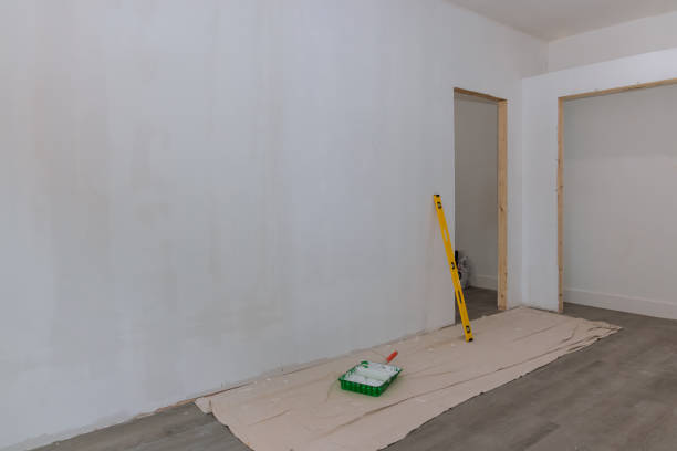 Best Black Mold Removal  in Lake City, SC
