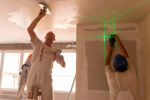 Mold Odor Removal Services in Lake City, SC