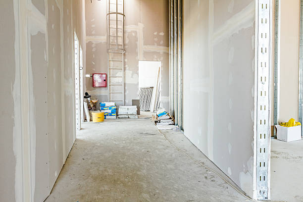 Best Attic Mold Removal  in Lake City, SC