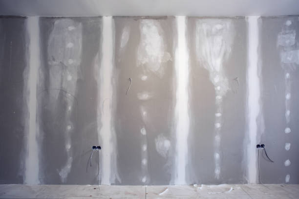 Best Mold Damage Restoration  in Lake City, SC